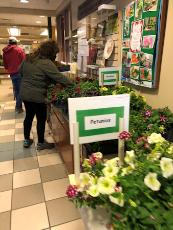 Plant Sale